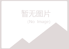 留坝县女孩能源有限公司